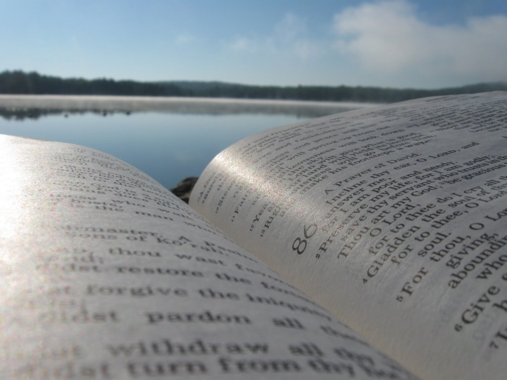 Beach reading for historians (or why simple writing makes your argument&nbsp;smarter)