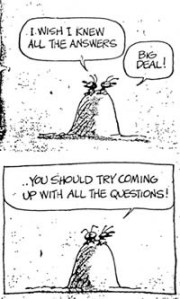 Ants Asking A Question