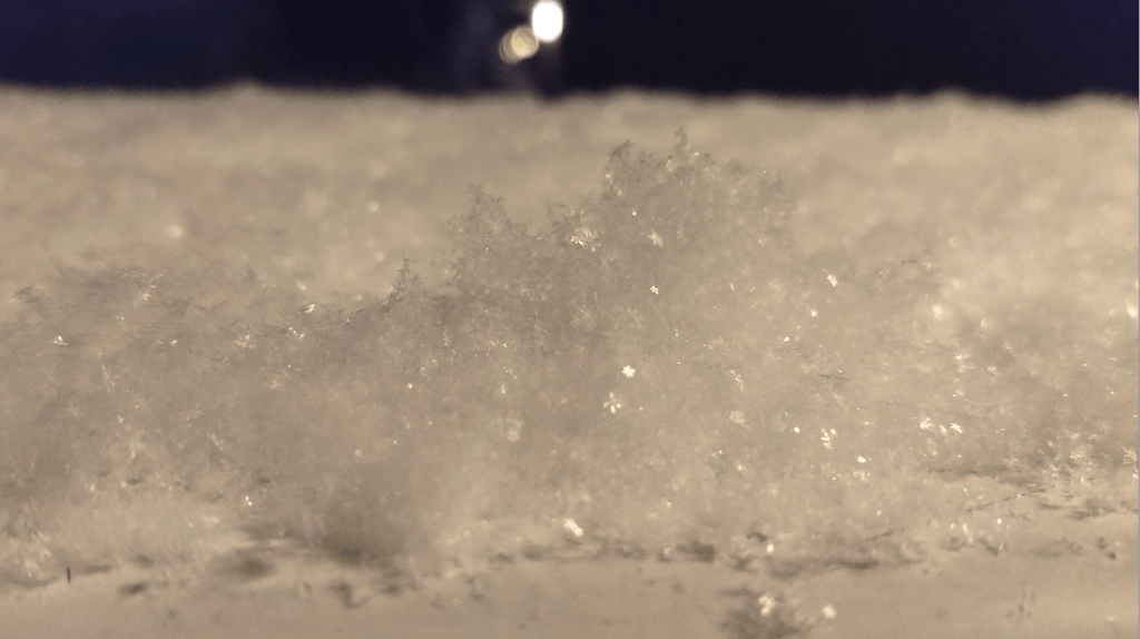 23. Perhaps the Most Famous New Year’s Gift in&nbsp;Science